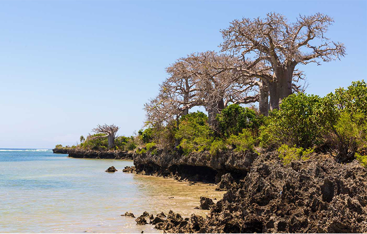 Mafia Island Beach Holiday